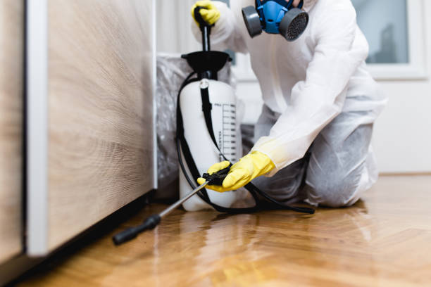  Bacliff, TX Pest Control Pros