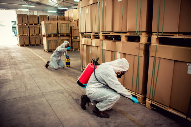 Best Affordable Pest Control Services  in Bacliff, TX