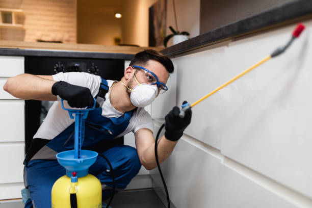 Best Pest Prevention Services  in Bacliff, TX