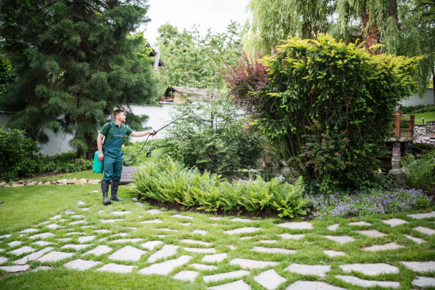 Best Commercial Pest Control Services  in Bacliff, TX