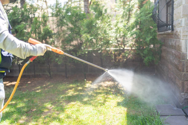 Best Pest Control Near Me in Bacliff, TX