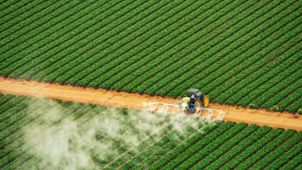 Best Pest Inspection Near Me  in Bacliff, TX