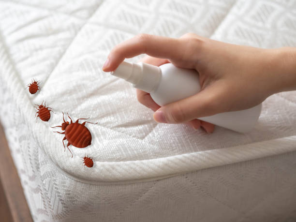 Best Best Pest Control Near Me  in Bacliff, TX