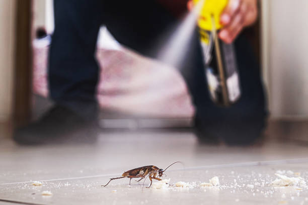 Best Pest Control for Businesses  in Bacliff, TX