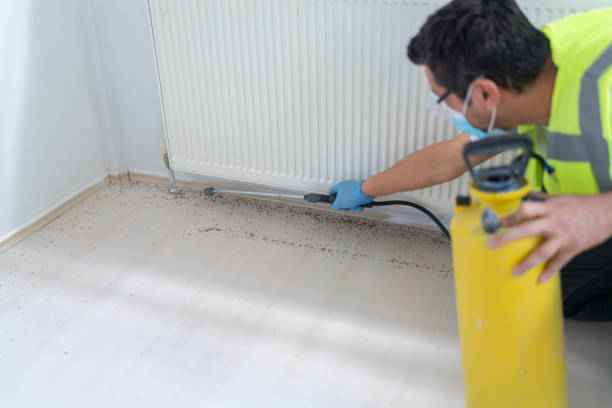 Best Best Pest Control Companies  in Bacliff, TX