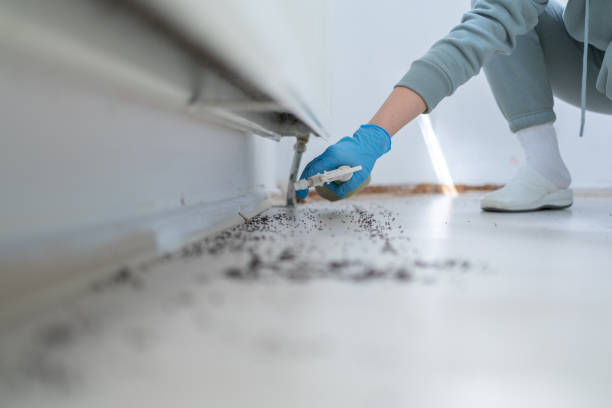 Best Wildlife Control Services  in Bacliff, TX