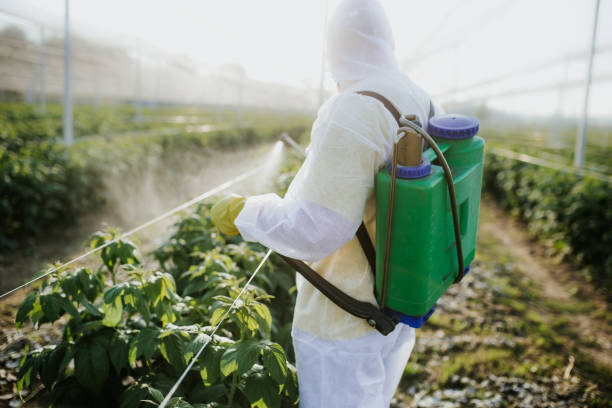 Best Best Pest Control Companies  in Bacliff, TX